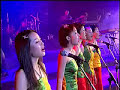 12 Girls Band - Flowers and Juveniles