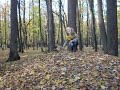 Белочки Царицина
