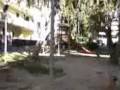 videos de Team manicomio criminale      By ALFREDO BANANA