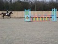 Abigail and Russel - Team Showjumping Hargate arena