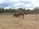 Achraf en cheval pour la deuxieme fois Achraf en cheval pour la deuxieme fois