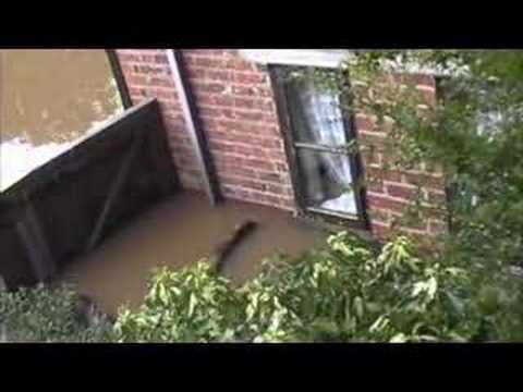 Top photos chosen by u all: