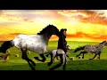 Video Louis The Child - It's Strange feat. K.Flay Video Louis The Child - It's Strange feat. K.Flay