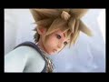 Kingodm Hearts Sora and Roxas