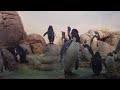 penguins at the zoo penguins at the zoo