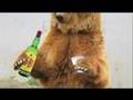 Dj Fractus Beat remix - El Oso Carpintero - liquits