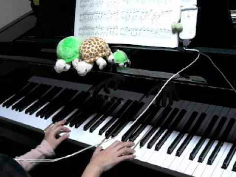 tiny.z - たゆたう海へ~~ kamedayoriアカウントも、そのうち消えてなくなるかもしれません。 どこかへお引越しするかもしれません。...