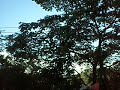 costa rica 2009 169.mov