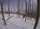 parkcity.html