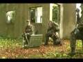 Rjavi ris 4