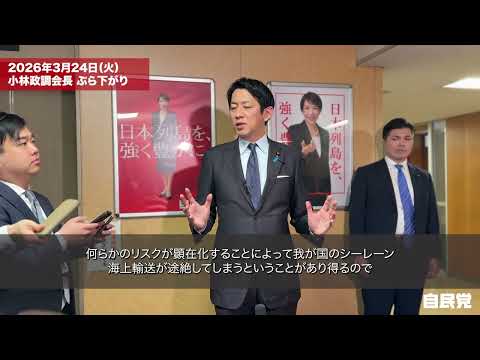 小林鷹之政務調査会長 ぶら下がり