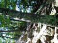 videos de Seneca hill3, VA
