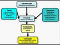 Video educativo:elementos de una Webquest