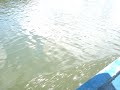 laguna-sauce-tarapoto-peru.html