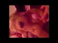 Wee Weegie Dug Wee Weegie Dug
