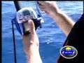 Jigging BULL DOLPHIN em Floripa Jigging BULL DOLPHIN em Floripa