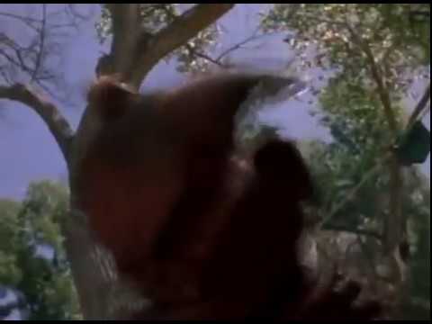 Horror Movie -- Demon Island (2002) Full