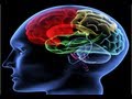 How to Improve Your Memory