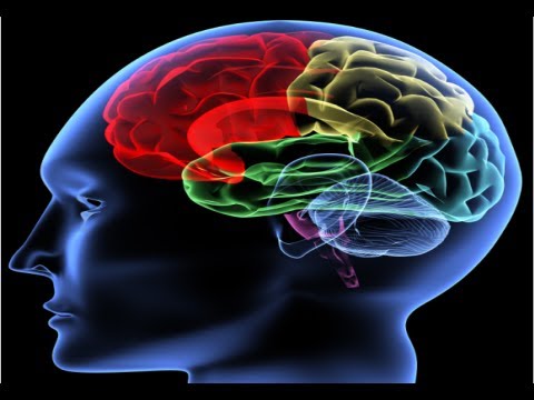 how to improve memory