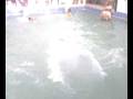 videos de Mar mly 39ob