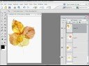 Photoshop (Autumn Picture)