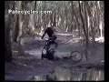 A queda A queda