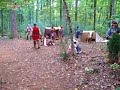 Indian Attack (Part 3) Indian Attack (Part 3)
