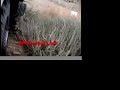 Unimog Differential lock demo 4X4 Offroad Unimog Differential lock demo 4X4 Offroad