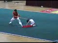 Great Kung-Fu Show