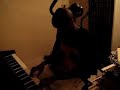 Vesty, M.Bonus - Medley Zouk Dombolo