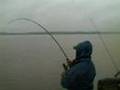 Long Sault carp fishing