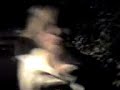 shakey-jake-going-crazy.html