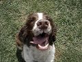 Click here to watch this video 023.MPG Smokey