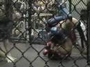 Joe Cargado vs Matt Ferroni (MMA) Joe Cargado vs Matt Ferroni (MMA)
