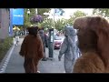 This is the raw, unedited footage of Northwest Furs' Capitol Hill Romp meet, where six fursuiters and many more were found crashing the Capitol Hill Block Party at Cal Anderson Park and then romping down a very busy Broadway Avenue on July 25, after first meeting at Volunteer Park for some noms and socializing. Capitol Hill, one of the most densely populated areas of Seattle and also one of the most diverse (widely known being the center of gay/alternative lifestyle in the city) was quite an experience to suit in - our reception was generally really good and we were able to bring some smiles, hugs and high-fives to children and adults alike. Featuring in suit: Redclaw (otter), Booga (gray wolf), Synthwolf (gray wolf with red), Scout Snowpaws (arctic fox), Ithabise (lion) and Kijani (me... teh other lion) Thanks SO MUCH to Mushu for taking video for this meet, and for the NW Furs organizers for helping make it happen.