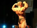 STEFAN OROSZ TOP 10 BARDĚJOV 2008