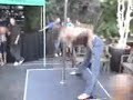 Pole Dancer Pole Dancer