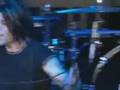 AFI - Rabbits Are Roadkill (live)