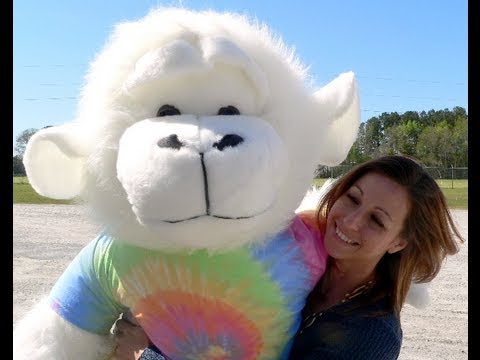how to dye stuffed animals