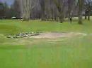 titi golf titi golf