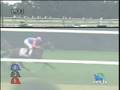 競馬　リーチザクラウン初勝利