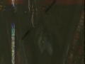 Kangding Ray - Quarante, Album: Automne Fold
