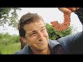 Man vs Wild - New Night, New Time, Same Ole Bear