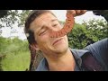 Man vs Wild - New Night, New Time, Same Ole Bear