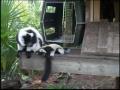 Gallery - Zoo Babies are so cute! 
