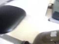 My Home Gym - Exercise and Physical Fitness Equipment