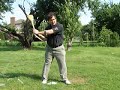 Sevam1: Pronation, Supination and Plane
