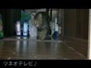 ツネオのとおせんぼ「ラッキー編」