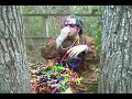 Trippy Guy from Longview Texas Trippy Guy from Longview Texas