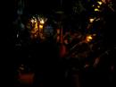 Tropische Nacht Tropische Nacht